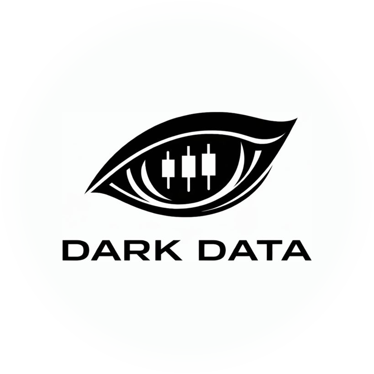 Dark Data